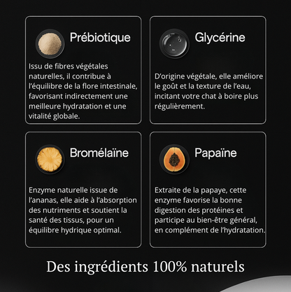 Gouttes d’Hydratation Féline